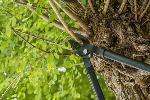 Ágvágó 72cm BLACK+DECKER