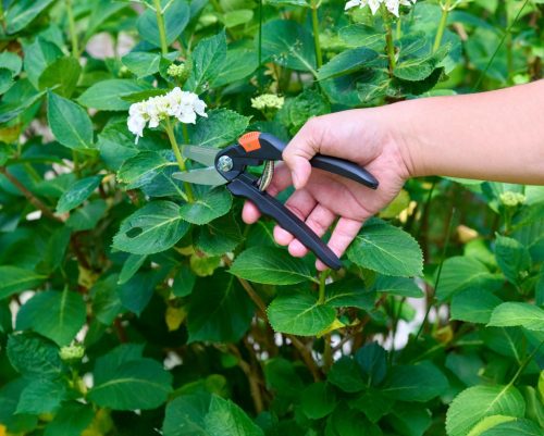 Metszőolló mellévágó 20cm  BLACK+DECKER